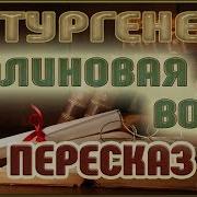 Малиновая Вода Тургенев