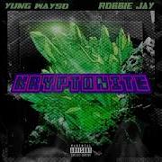 Kryptonite Robbie Jay Feat Yung Wayso