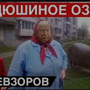 Экстракт Невзорова Последнее