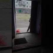 Мемы Сосиска Киллер