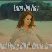 Flying Bill Lana Del Rey