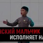 Очень Красивый Назам Нашид На Чеченском