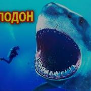 Вымершие Акулы