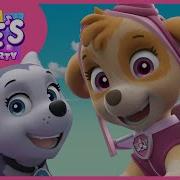 Paw Patrol Skye S Music Party Fly With Me