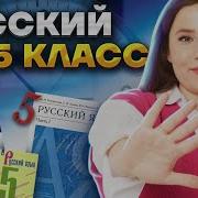 Русский Язык 5 Класс Видеоуроки