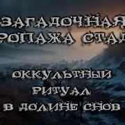 Земля Снов Автор Антон Коненков