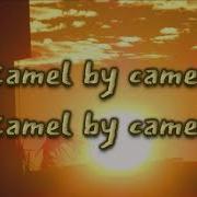 Camel By Camel Zone Ankha Lyric