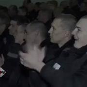 Владимир Ждамиров В Зоне