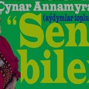 Cynar Annamyradowa