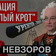 Невзоров Вечерний Стрим Экстракт 12 12 2024