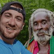 Jamaica Rasta