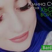 Амина Сулипова Хьо Суна Воьвзина Де