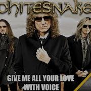 Whitesnake Give Me All Your Love Backing Track