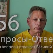 Вопросы Ответы Выпуск 56 Василий Тушкин Отвечает На Ваши Вопросы