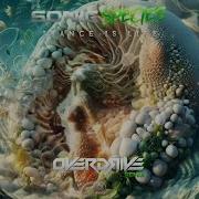 Sonic Species Trance Is Life Overdrive Remix