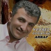 Burhan Topal Vurmammi Lazim Yar