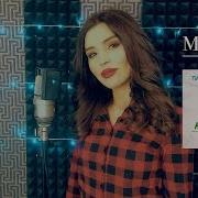 Незабудка Твой Любимый Цветок Misty 2019 Cover New