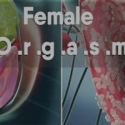 Orgasm