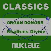 Organ Donors Divine