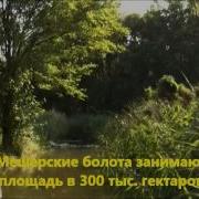Паустовский Мещерская Сторона