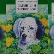 Белый Бим Чёрное Ухо Аудиокнига