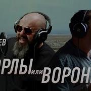 В Доме Нашем Вороны