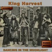 King Harvest Dancing In The Moonlight