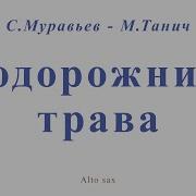 Подорожник Трава На Саксофоне