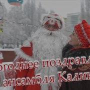 Новогодняя Ансамбль Калина