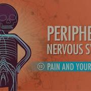 Periphery