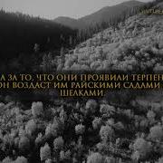 Сальман Аль Утайби Сура Человек