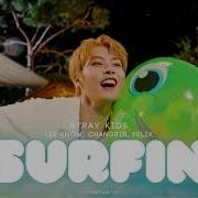 Surfin Skz 8D