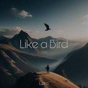 Like A Bird New Letra