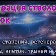 Антивозрастные Частоты Стволовые Клетки Теломеры Восстановление Тела 30 00