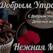 С Добрым Утром Стихи Любимой Девушке