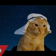 Arabian Cat Official Music