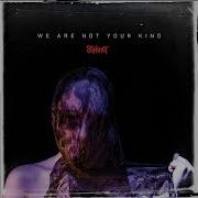 Slipknot We Are Not Your Kind Full Album