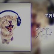 Инстасамка Бархатные Тяги Speed Up