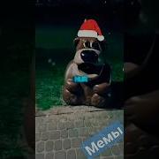 Новогодний Фредди Фазбер
