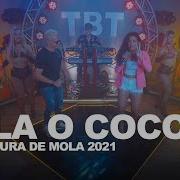 Cintura De Mola Rala O Coco Tbt Cintura De Mola