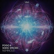 8 09 Now Playing Sonic Species Pogo Numinous