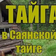 Приключения В Саянской Тайге