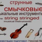 Струнные Смычковые Музыкальные Инструменты