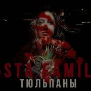 5Sta Family Тюльпаны Mood Video