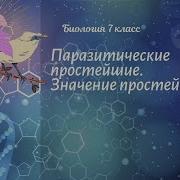 Паразитические Простейшие Значение Простейших