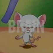 Pinky And The Brain Russian Intro