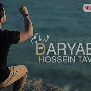 Hossein Tavakoli Daryabam