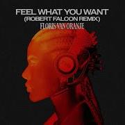 Floris Van Oranje Feel What You Want Robert Falcon Remix