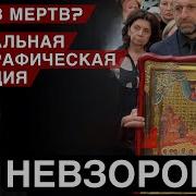 Новая Реальность России Невзоров