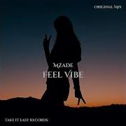 Feel Vibe Original Mix Dezzout